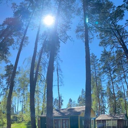 Baza Vidpochinku Energia Hotel Rudnya Peskovskaya Buitenkant foto