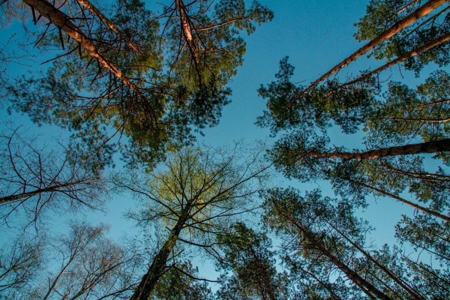 Baza Vidpochinku Energia Hotel Rudnya Peskovskaya Buitenkant foto