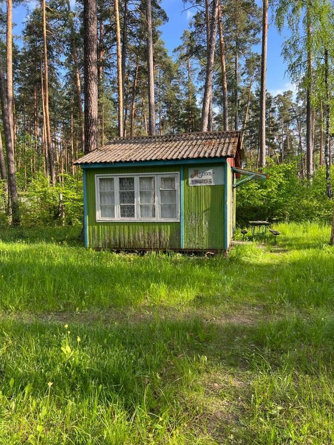 Baza Vidpochinku Energia Hotel Rudnya Peskovskaya Buitenkant foto